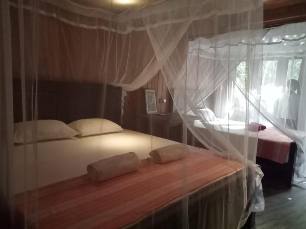Hostal Piumi House Dikwella Sur Exterior foto