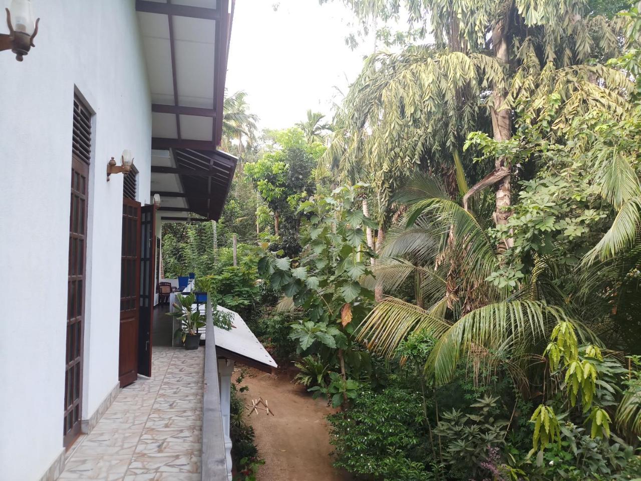 Hostal Piumi House Dikwella Sur Exterior foto