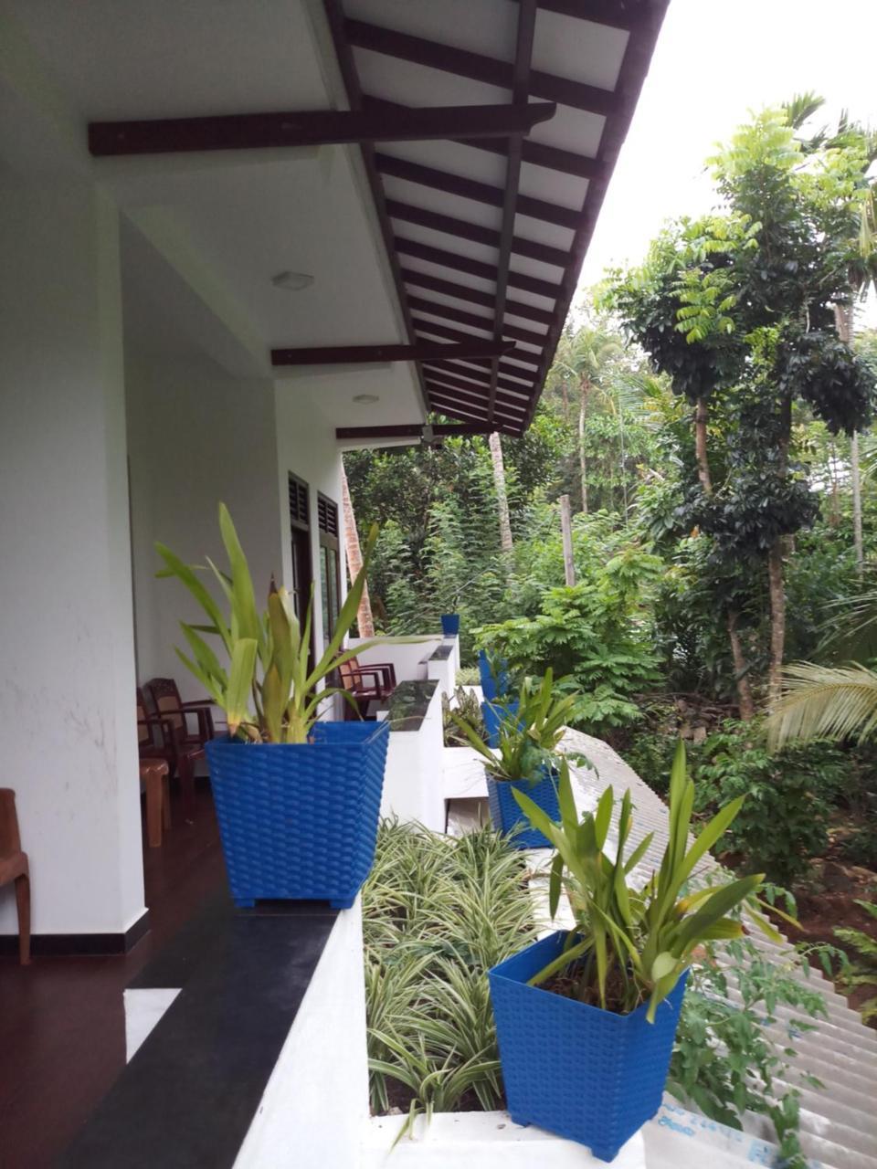 Hostal Piumi House Dikwella Sur Exterior foto